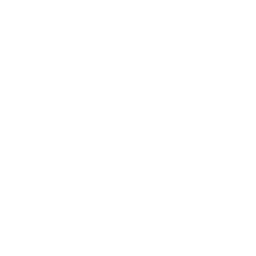 checked checkbox